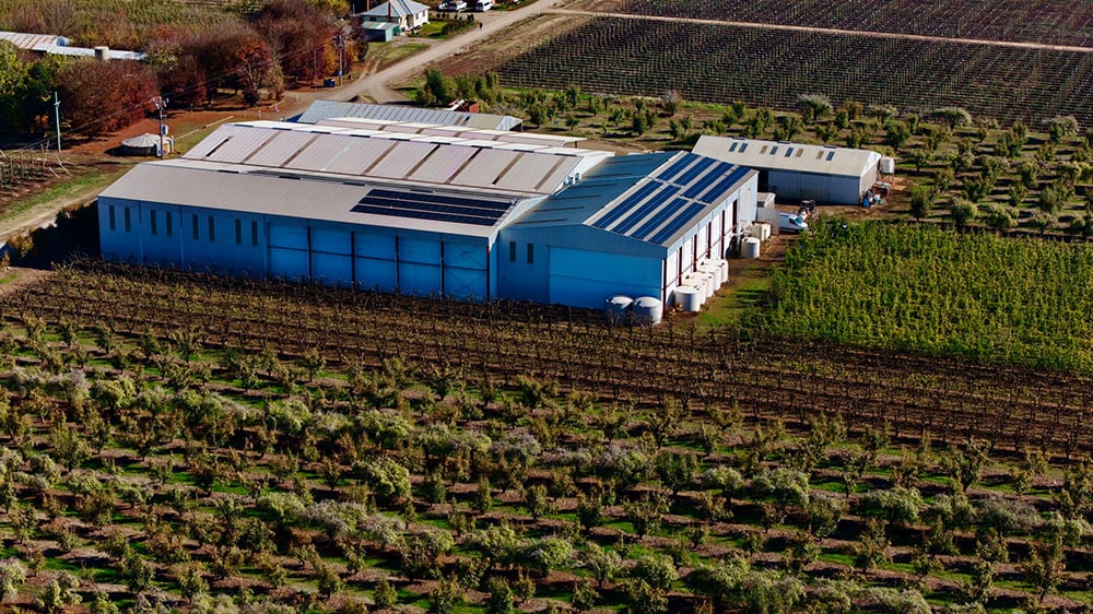 1748249447159698.jpg 4.jpg