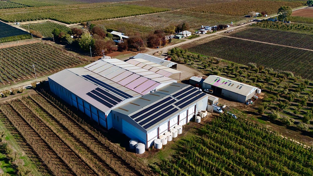 1748249456385137.jpg 5.jpg